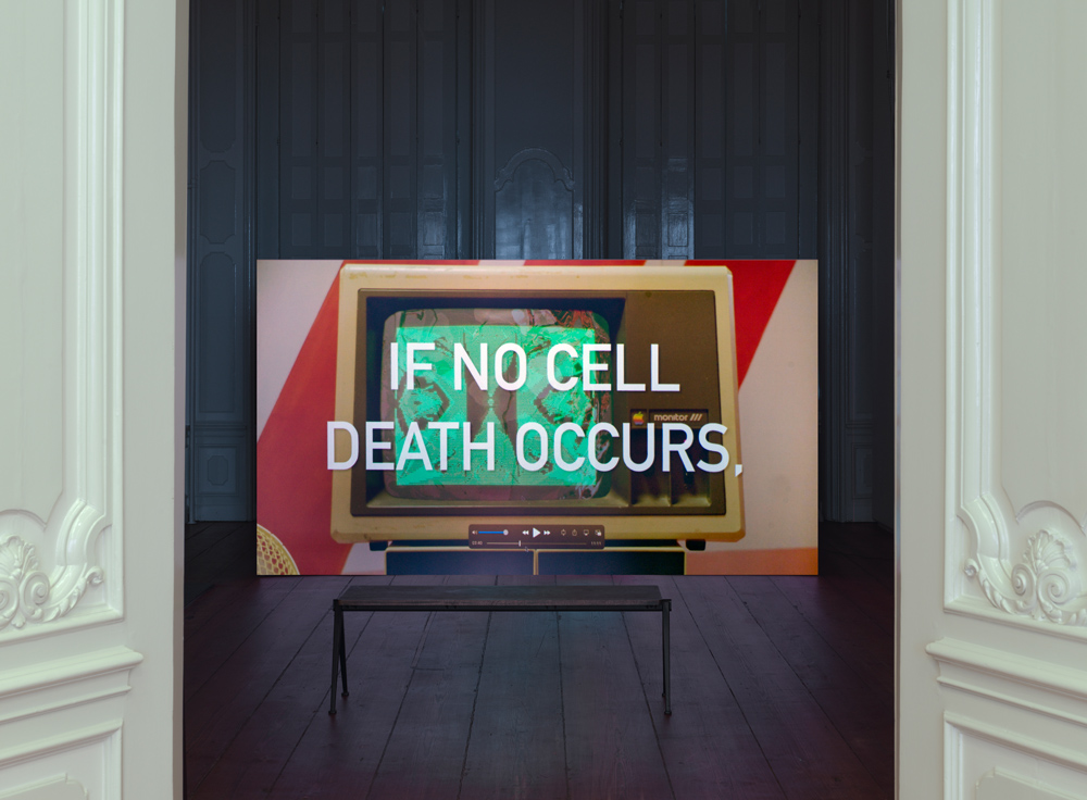 Jen Liu - ELECTROPORE at Upstream Gallery, 2022
Photo: Gert Jan van Rooij Jen Liu - ELECTROPORE at Upstream Gallery, 2022
Photo: Gert Jan van Rooij