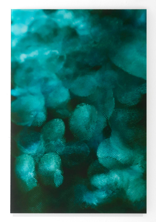 Swiped Horizon (green) (2024) by Noor Nuyten Swiped Horizon (green) (2024) by Noor Nuyten