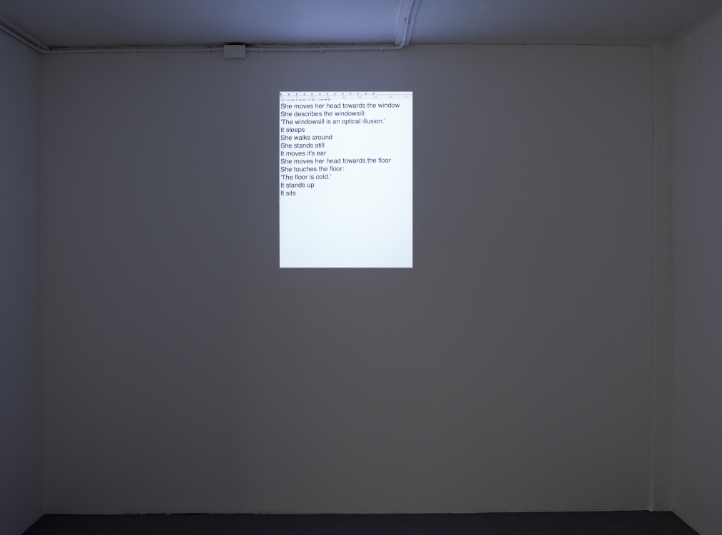 'The Dog and She', 2013. Video, loop.
An observation of two visitors at Upstream Gallery. One visitor is a dog and the other one a woman.
The dog is experiencing the gallery purely trough its instinct. The woman with a vision of 5%, the other 95% trough imagination.
Photo: Gert Jan van Rooij 'The Dog and She', 2013. Video, loop.
An observation of two visitors at Upstream Gallery. One visitor is a dog and the other one a woman.
The dog is experiencing the gallery purely trough its instinct. The woman with a vision of 5%, the other 95% trough imagination.
Photo: Gert Jan van Rooij