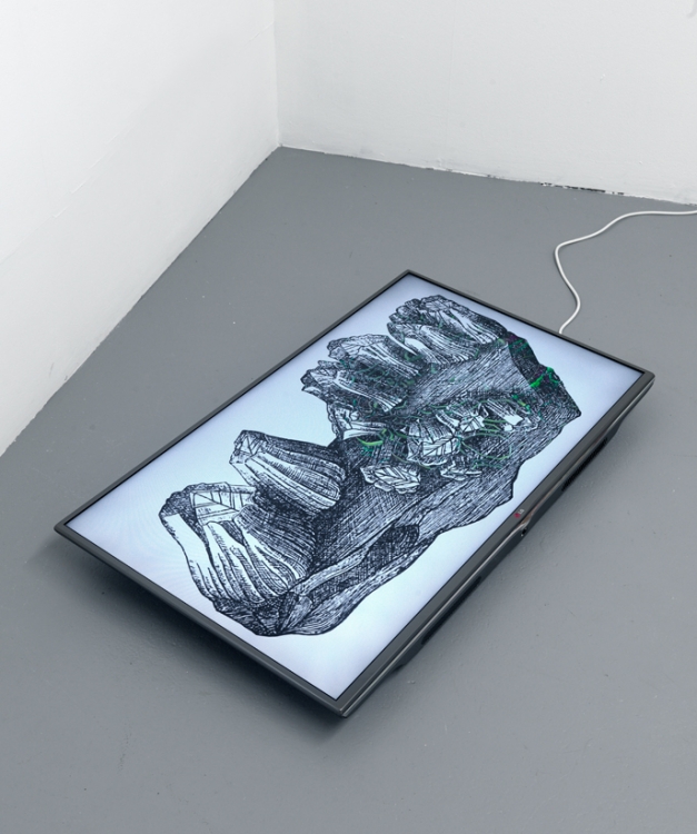 Salvatore Arancio, When the Same Organ is Rigorously Compared in Many Individuals, I Always Find Some Slight Variability, 2015
Video, 05:36 min, edition 2/3
Courtesy of the artist and Federica Schiavo Gallery, Rome 	
 Salvatore Arancio, When the Same Organ is Rigorously Compared in Many Individuals, I Always Find Some Slight Variability, 2015
Video, 05:36 min, edition 2/3
Courtesy of the artist and Federica Schiavo Gallery, Rome