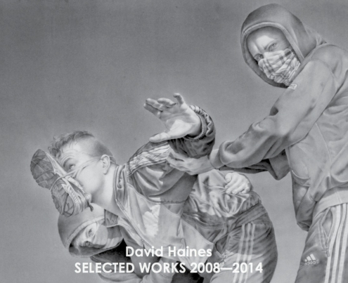 Publication David Haines: Selected works 2008 - 2014