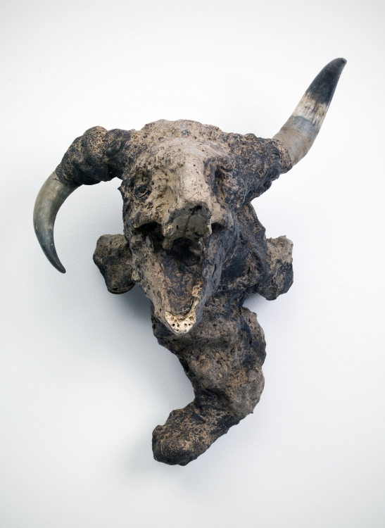'Untitled (Skull with Horns)', 2012, mixed media, 55 x 50 x 35 cm. Photo: Gert Jan van Rooij. 'Untitled (Skull with Horns)', 2012, mixed media, 55 x 50 x 35 cm. Photo: Gert Jan van Rooij.