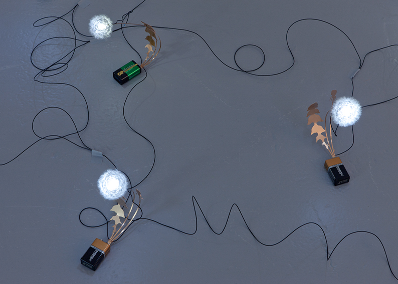 'Dandelight' installation at Upstream Gallery 'Dandelight' installation at Upstream Gallery