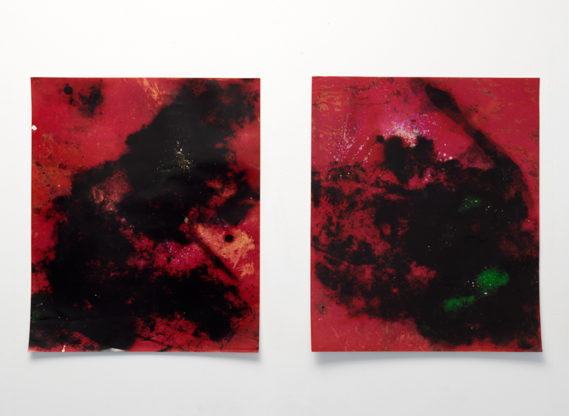 Untitled Garden Prints, 2014. Two unique C-prints, 61 x 51 cm each. Photo: Gert Jan van Rooij.  Untitled Garden Prints, 2014. Two unique C-prints, 61 x 51 cm each. Photo: Gert Jan van Rooij.