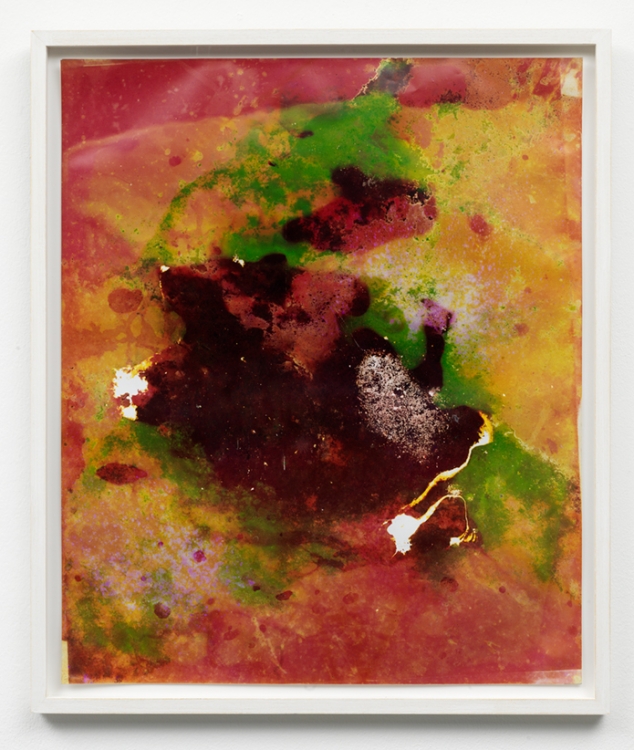 Untitled Garden Print, 2014. Unique C-print, 61 x 51 cm. Photo: Gert Jan van Rooij.  Untitled Garden Print, 2014. Unique C-print, 61 x 51 cm. Photo: Gert Jan van Rooij.
