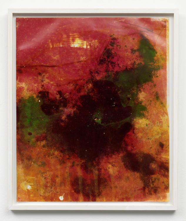 Untitled Garden Print, 2014. Unique C-print, 61 x 51 cm. Photo: Gert Jan van Rooij.  Untitled Garden Print, 2014. Unique C-print, 61 x 51 cm. Photo: Gert Jan van Rooij.
