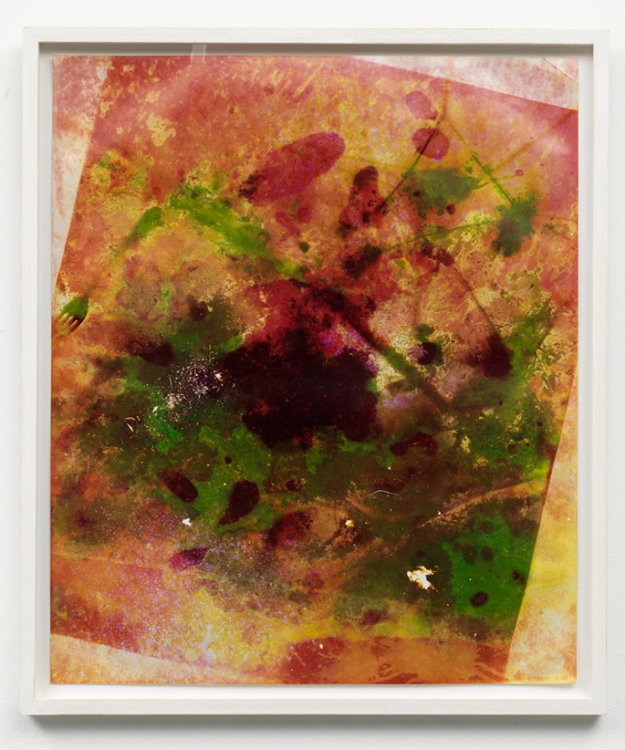 Untitled Garden Print, 2014. Unique C-print, 61 x 51 cm. Photo: Gert Jan van Rooij.  Untitled Garden Print, 2014. Unique C-print, 61 x 51 cm. Photo: Gert Jan van Rooij.