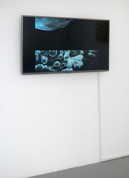 Georgie Grace, every day the urge grows stronger, 2014
video, 01:00 min 
Courtesy of the artist
 Georgie Grace, every day the urge grows stronger, 2014
video, 01:00 min 
Courtesy of the artist