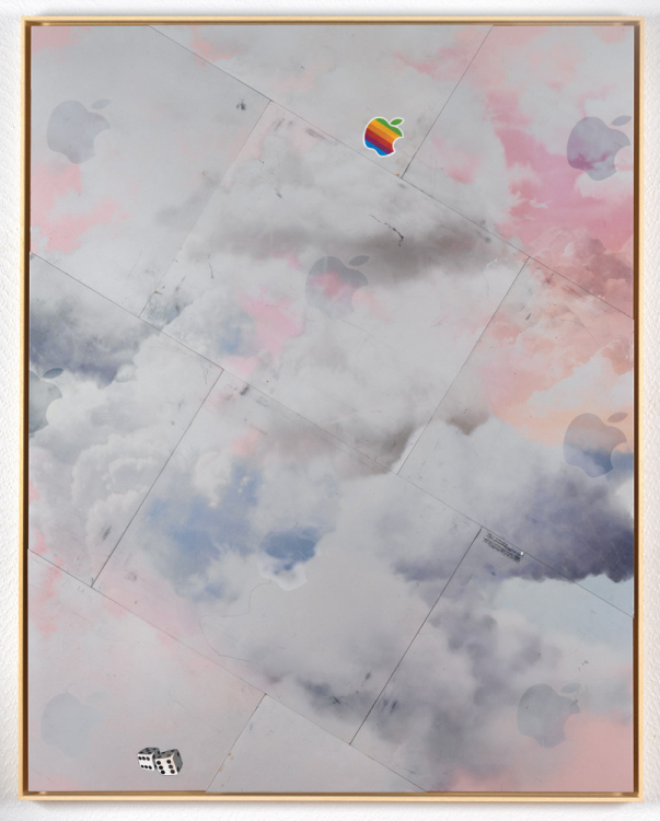 2006 - Apple, 2019. Aluminium, UV-print, 121 x 95.8 cm. Photo by Gert Jan van Rooij.
 2006 - Apple, 2019. Aluminium, UV-print, 121 x 95.8 cm. Photo by Gert Jan van Rooij.