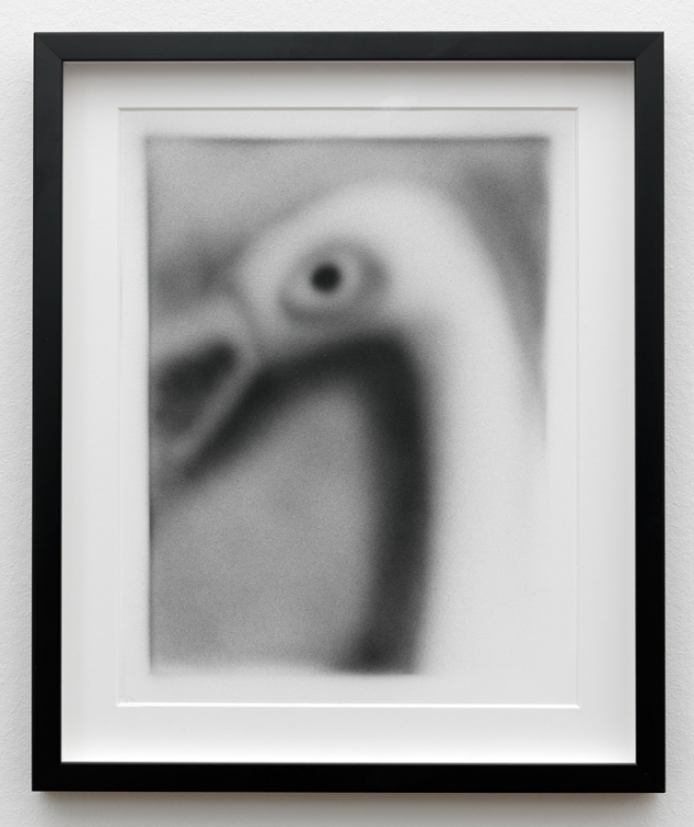 'Bird', 2015, acrylic on paper, 36x28cm.
Photo: Gert-Jan van Rooij 
 'Bird', 2015, acrylic on paper, 36x28cm.
Photo: Gert-Jan van Rooij