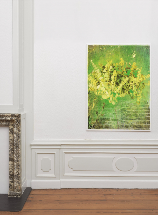 Fluttering Leaves Make the Wind Blow I (2023) installed at group exhibition Mixed Feelings Fluttering Leaves Make the Wind Blow I (2023) installed at group exhibition Mixed Feelings