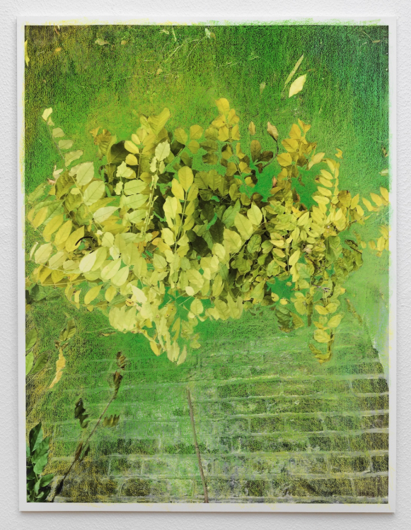 Fluttering Leaves Make the Wind Blow I (2023) installed at group exhibition Mixed Feelings Fluttering Leaves Make the Wind Blow I (2023) installed at group exhibition Mixed Feelings