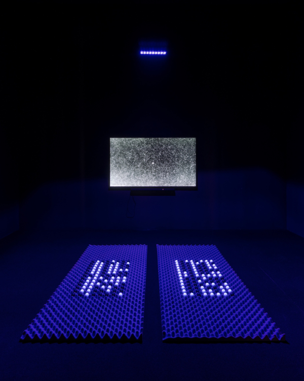Joan Heemskerk, entagled binary network (Hello, World) & NO MATTER (2024). Installation view, Soft Robots, Copenhagen Contemporary, 2025. (Photo: David Stjernholm) Joan Heemskerk, entagled binary network (Hello, World) & NO MATTER (2024). Installation view, Soft Robots, Copenhagen Contemporary, 2025. (Photo: David Stjernholm)