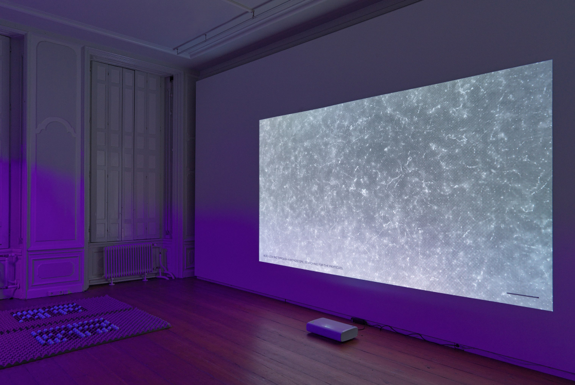 NO MATTER, Joan Heemskerk (2024) at exhibition Hello, world! at Upstream Gallery  NO MATTER, Joan Heemskerk (2024) at exhibition Hello, world! at Upstream Gallery