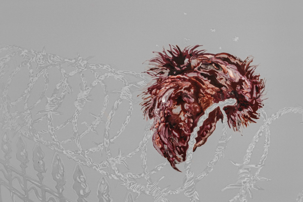 All Light, No Warmth 