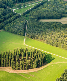 Adventurous and groundbreaking music in Marinus Boezems Green Cathedral