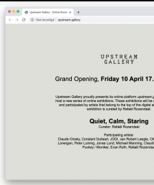 Upstream Gallery launches online platform upstream.gallery