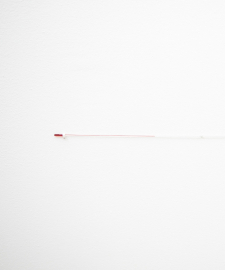 Noor Nuyten part of group show at TENT Rotterdam 