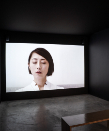 Jen Liu in Stories of Resistance at Contemporary Art Museum St Louis