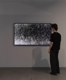 Joan Heemskerk at group exhibition Quantum Visions at HEK Basel