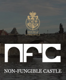 Harm van den Dorpel is a panel speaker at NFCastle in Prague