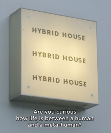 Alicia Framis and Ailex open their doors voor talks and diners 