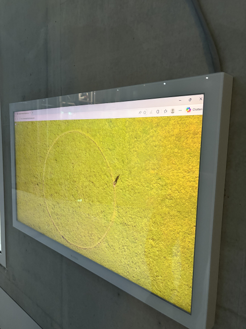 Jeroen Jongeleen part of Pixel Pioneers at Boijmans van Beuningen 