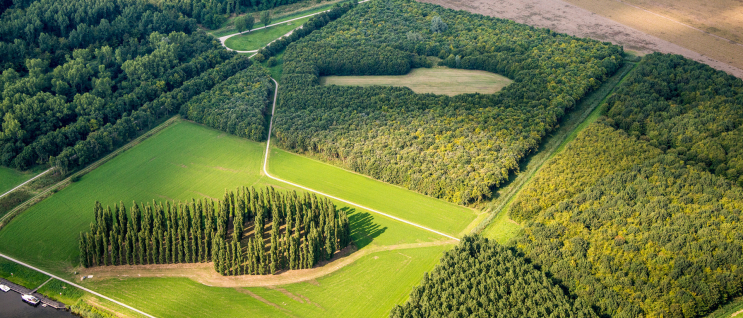 Adventurous and groundbreaking music in Marinus Boezems Green Cathedral