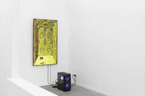 Tabor Robak part of group show Liquid Life at Super Dakota