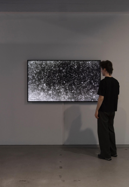 Joan Heemskerk at group exhibition Quantum Visions at HEK Basel