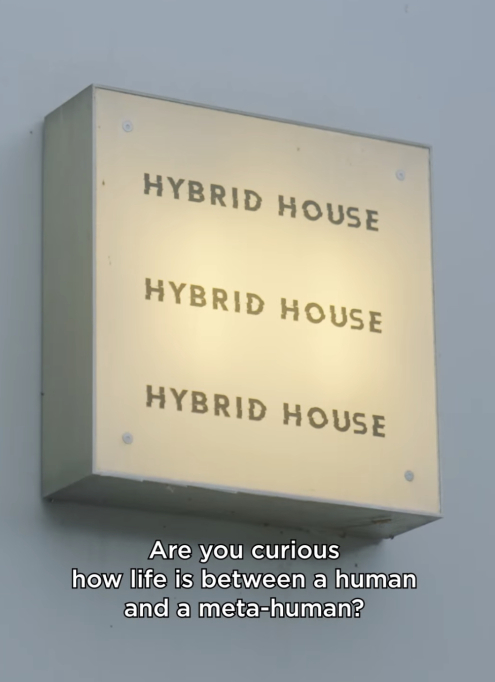 Alicia Framis and Ailex open their doors voor talks and diners 