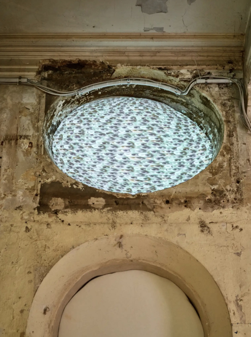 Observer on Amol K Patil's Berlin Biennale participation 