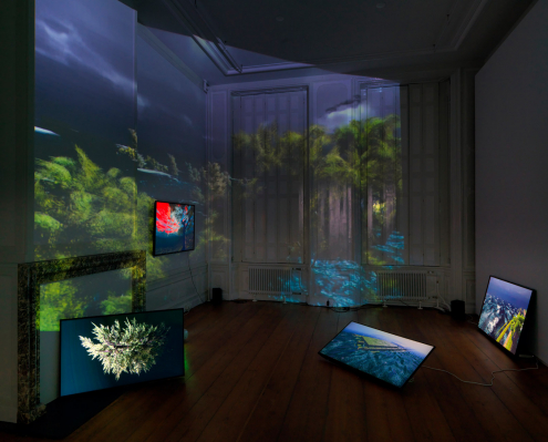 Jan Robert Leegte in duo show 'La Nature Reconfigurée' at CDA